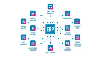 erp change management