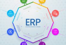 ERP services