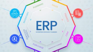 ERP services